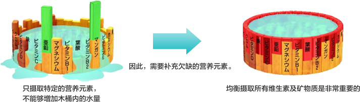 只摄取特定的营养元素,不能够増加木桶内的水量因此,需要补充欠缺的营养元素。均衡摄取所有维生素及矿物质是非常重要的