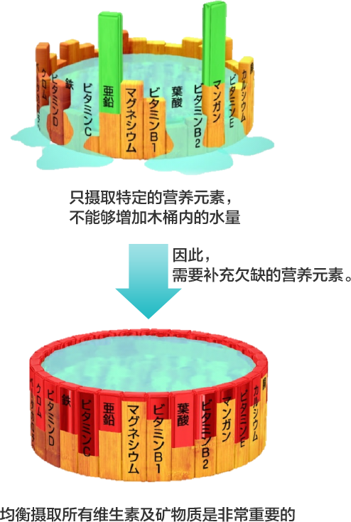 只摄取特定的营养元素，不能够増加木桶内的水量因此，需要补充欠缺的营养元素。均衡摄取所有维生素及矿物质是非常重要的