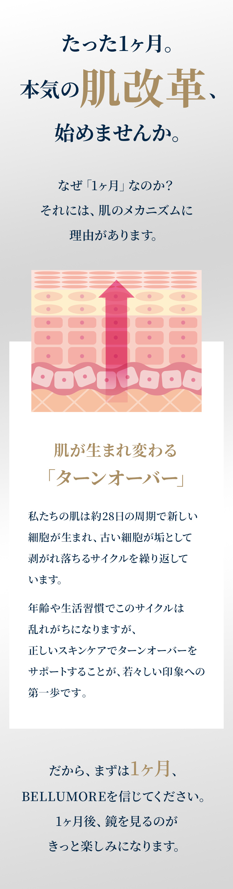 肌は28日で生まれ変わる。ターンオーバーを支えるBELLUMOREで1ヶ月のシワ改善ケア