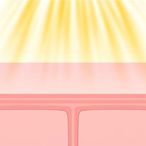 肌のターンオーバー周期が約28日であることを示す図解