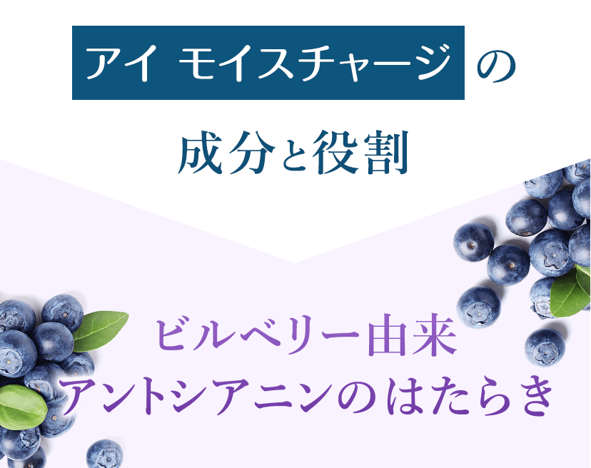 アイ モイスチャージの成分と役割 ビルベリー由来アントシアニンのはたらき