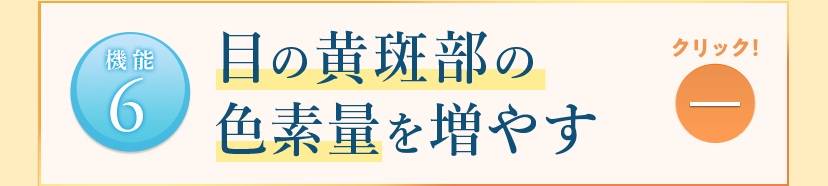 【機能6】目の黄斑部の色素量を増やす