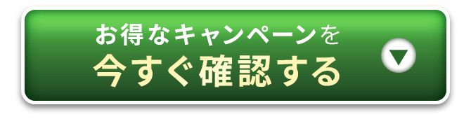 お得なキャンペーンを今すぐ確認する