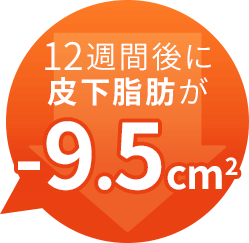 12週間後に皮下脂肪が-9.5cm