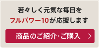 フルパワー10のご紹介