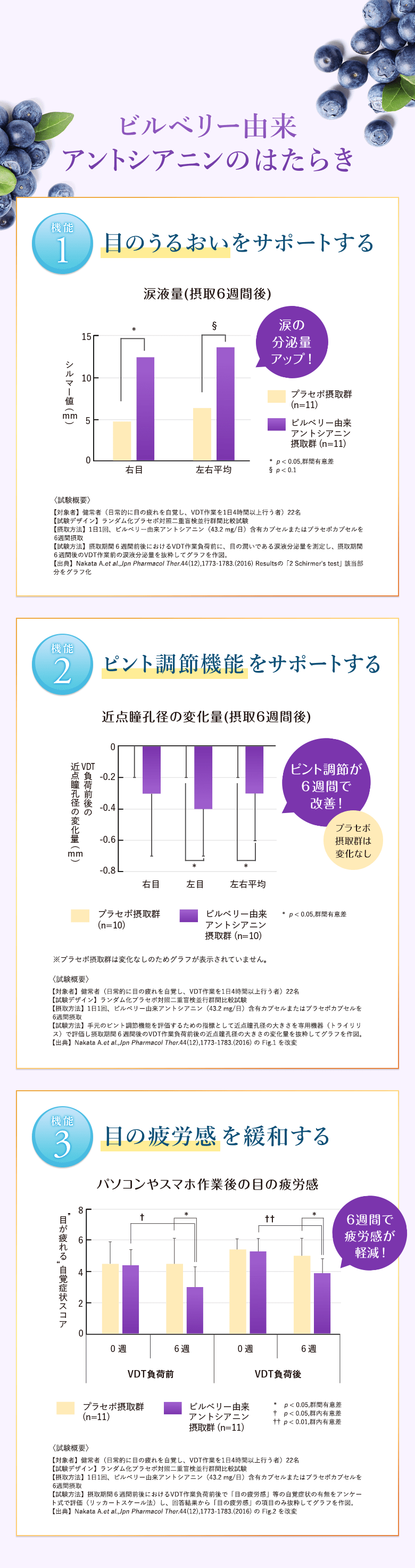 ビルベリー由来アントシアニンのはたらき