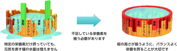 特定の栄養素だけ摂っていても、元気を表す桶の水量は増えません 不足している栄養素を補う必要があります 板の高さが揃うように、バランスよく栄養を摂ることが大切です