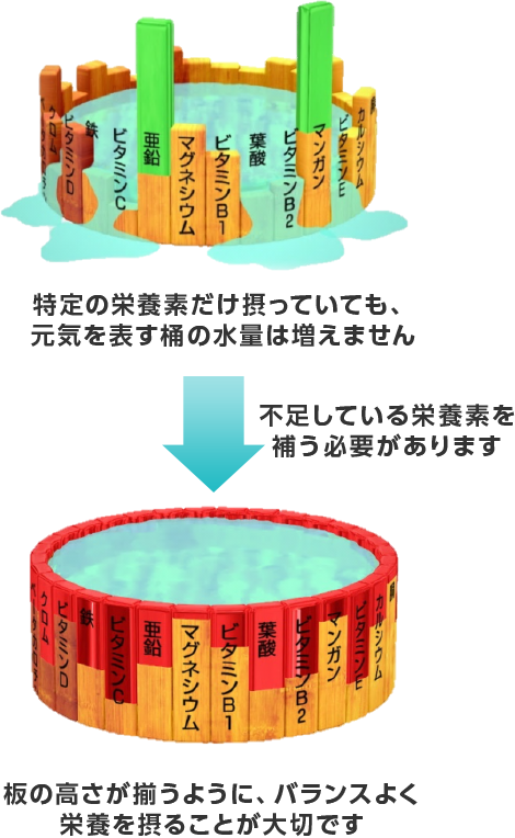 特定の栄養素だけ摂っていても、元気を表す桶の水量は増えません 不足している栄養素を補う必要があります 板の高さが揃うように、バランスよく栄養を摂ることが大切です