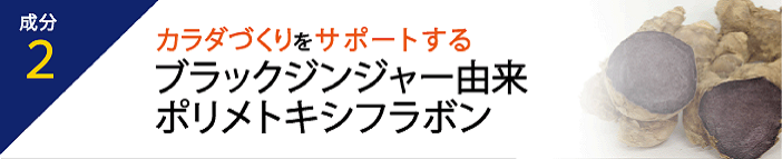 成分3 ブラックジンジャー由来ポリメトキシフラボン