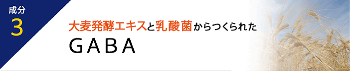 成分4 GABAが高めの血圧を下げる