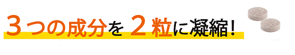 4つの成分を3粒に凝縮！